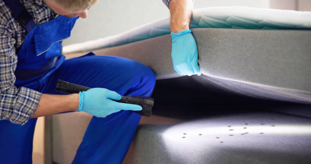 Best Pest Removal Services  in Freeman, SD