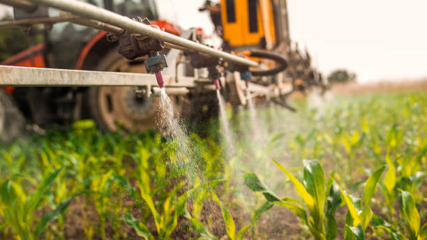 Best Pest Prevention Services  in Freeman, SD