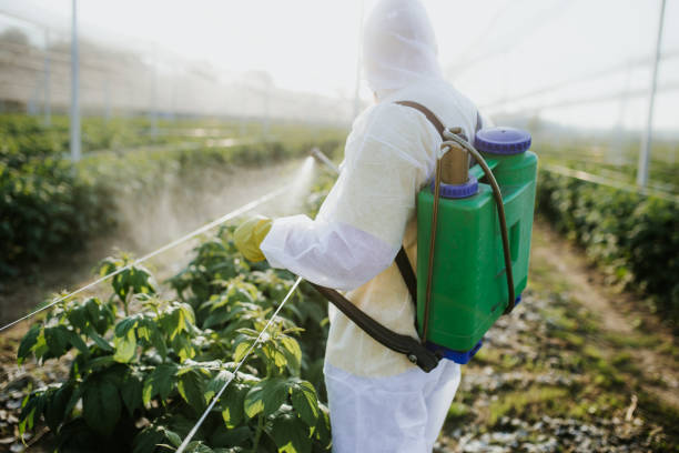 Best Best Pest Control Companies  in Freeman, SD